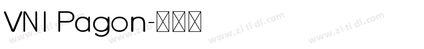 VNI Pagon字体转换